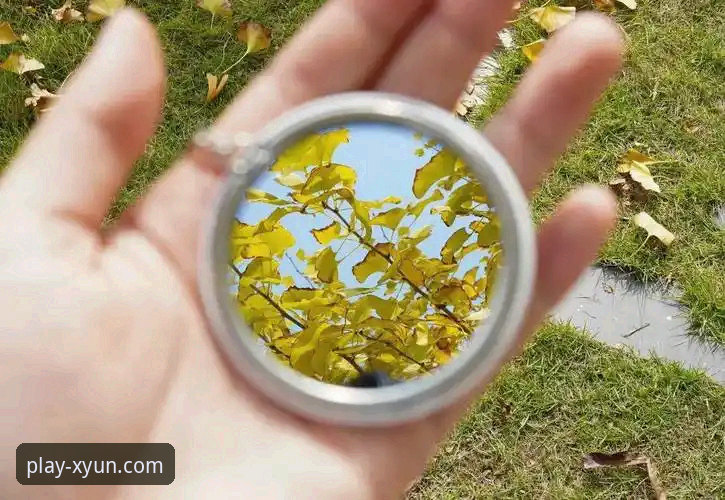 资深用户分享：杏运体育登录实测体验，这些细节90%的人不知道